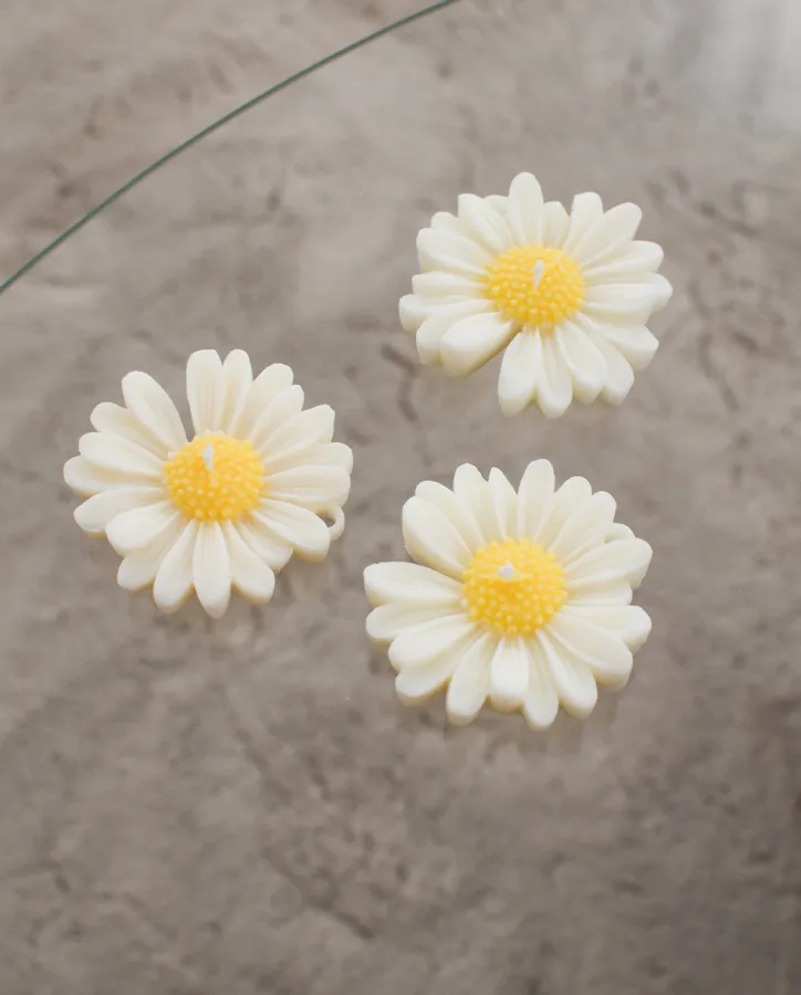 68d23e774a774.webp