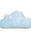 Minky pillow blue